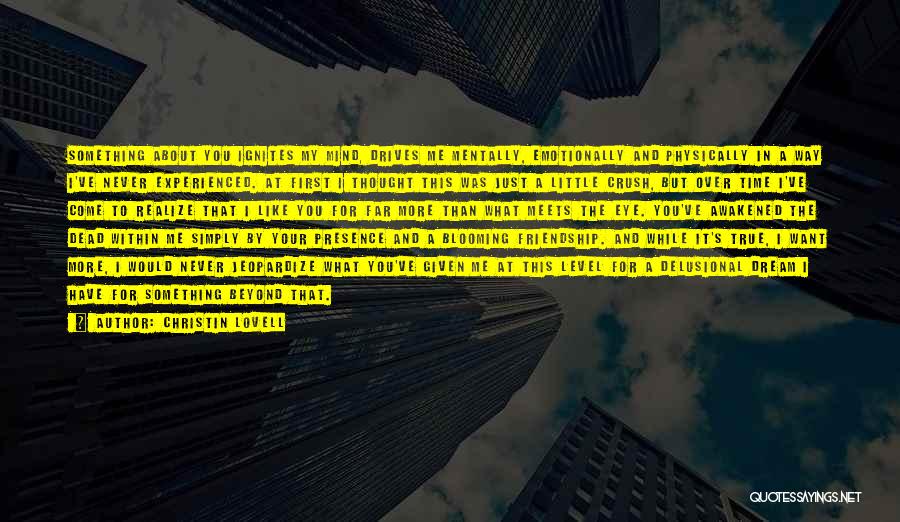 Christin Lovell Quotes: Something About You Ignites My Mind, Drives Me Mentally, Emotionally And Physically In A Way I've Never Experienced. At First