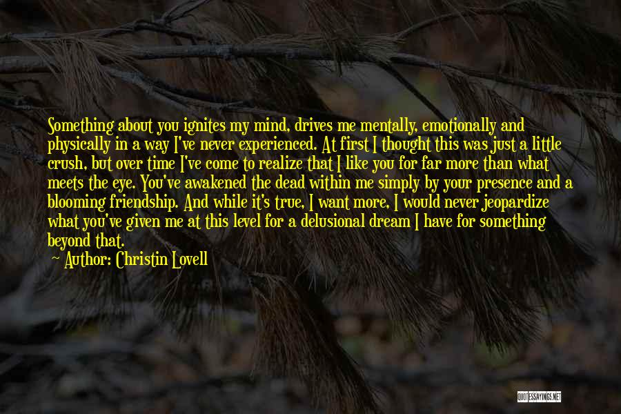 Christin Lovell Quotes: Something About You Ignites My Mind, Drives Me Mentally, Emotionally And Physically In A Way I've Never Experienced. At First