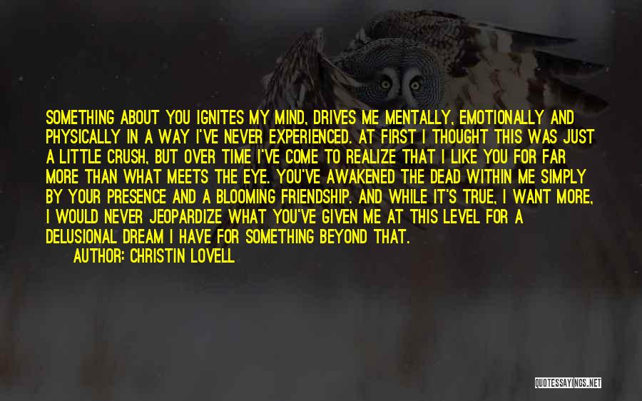 Christin Lovell Quotes: Something About You Ignites My Mind, Drives Me Mentally, Emotionally And Physically In A Way I've Never Experienced. At First