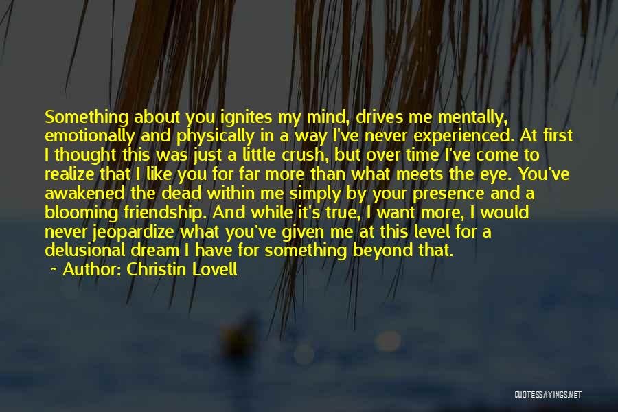 Christin Lovell Quotes: Something About You Ignites My Mind, Drives Me Mentally, Emotionally And Physically In A Way I've Never Experienced. At First