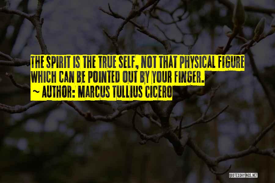 Marcus Tullius Cicero Quotes: The Spirit Is The True Self, Not That Physical Figure Which Can Be Pointed Out By Your Finger.