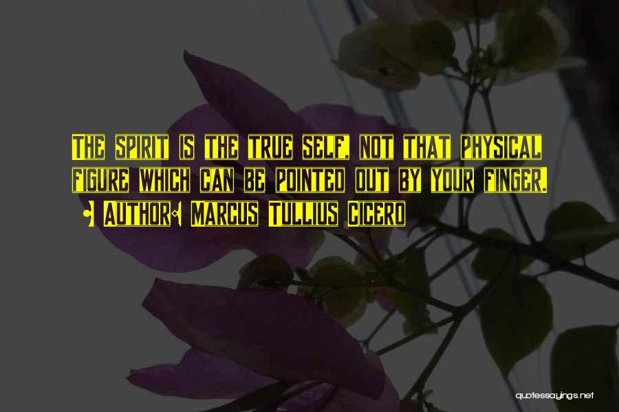 Marcus Tullius Cicero Quotes: The Spirit Is The True Self, Not That Physical Figure Which Can Be Pointed Out By Your Finger.