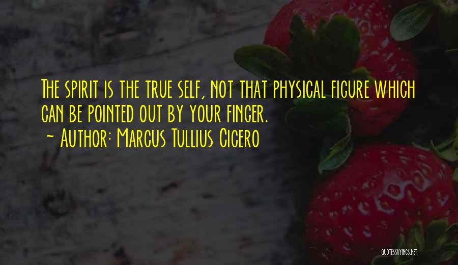 Marcus Tullius Cicero Quotes: The Spirit Is The True Self, Not That Physical Figure Which Can Be Pointed Out By Your Finger.