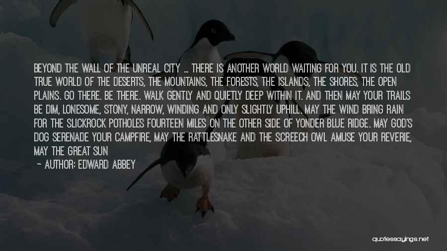 Edward Abbey Quotes: Beyond The Wall Of The Unreal City ... There Is Another World Waiting For You. It Is The Old True