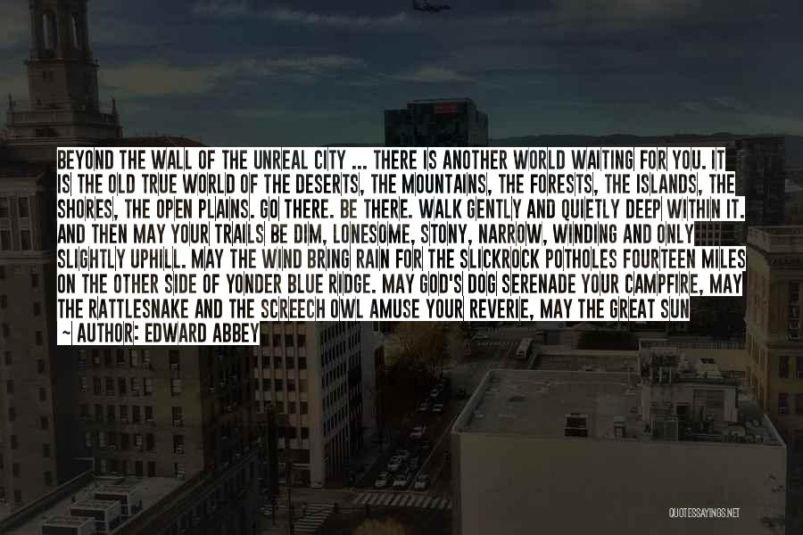 Edward Abbey Quotes: Beyond The Wall Of The Unreal City ... There Is Another World Waiting For You. It Is The Old True