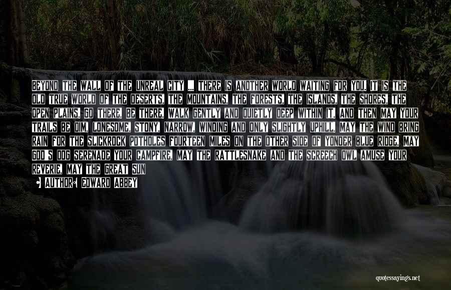 Edward Abbey Quotes: Beyond The Wall Of The Unreal City ... There Is Another World Waiting For You. It Is The Old True