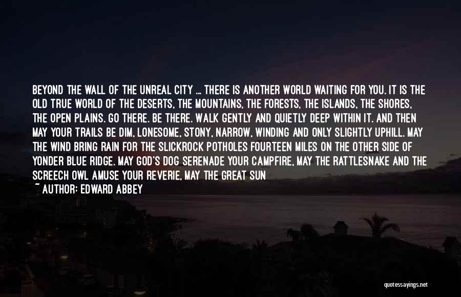 Edward Abbey Quotes: Beyond The Wall Of The Unreal City ... There Is Another World Waiting For You. It Is The Old True