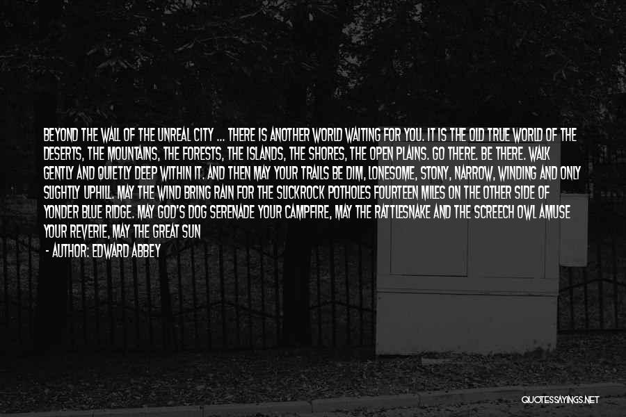 Edward Abbey Quotes: Beyond The Wall Of The Unreal City ... There Is Another World Waiting For You. It Is The Old True