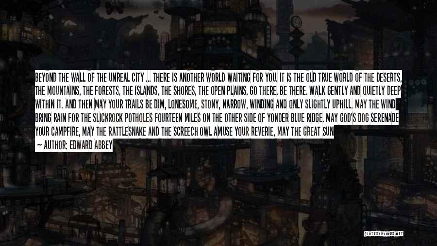 Edward Abbey Quotes: Beyond The Wall Of The Unreal City ... There Is Another World Waiting For You. It Is The Old True