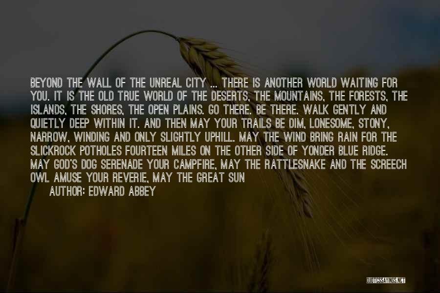 Edward Abbey Quotes: Beyond The Wall Of The Unreal City ... There Is Another World Waiting For You. It Is The Old True