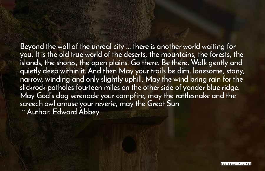 Edward Abbey Quotes: Beyond The Wall Of The Unreal City ... There Is Another World Waiting For You. It Is The Old True