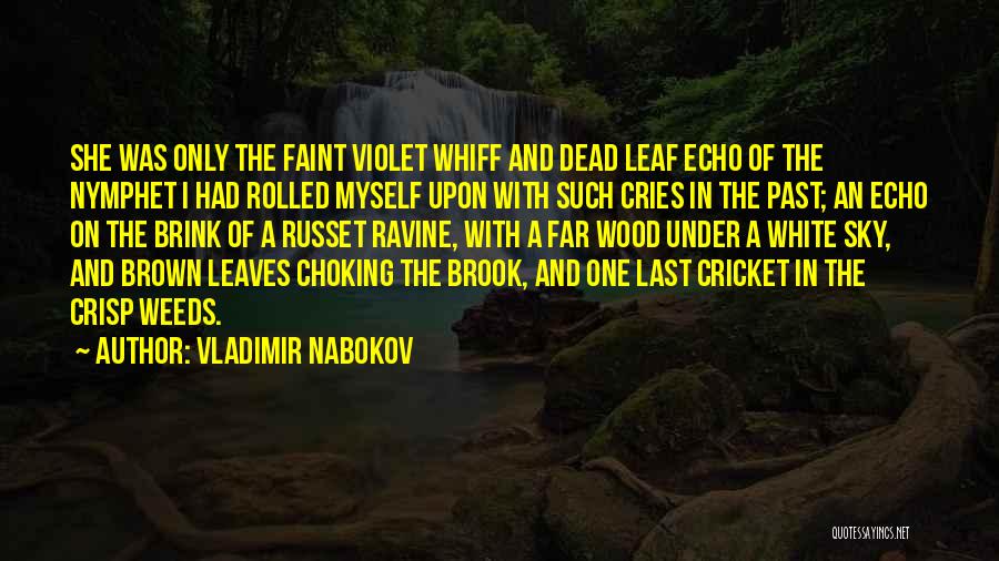 Vladimir Nabokov Quotes: She Was Only The Faint Violet Whiff And Dead Leaf Echo Of The Nymphet I Had Rolled Myself Upon With