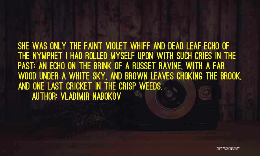 Vladimir Nabokov Quotes: She Was Only The Faint Violet Whiff And Dead Leaf Echo Of The Nymphet I Had Rolled Myself Upon With