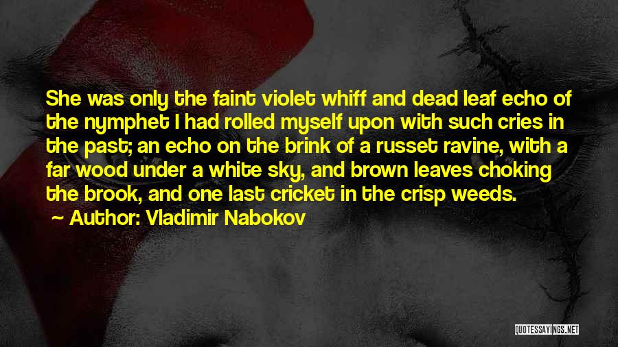 Vladimir Nabokov Quotes: She Was Only The Faint Violet Whiff And Dead Leaf Echo Of The Nymphet I Had Rolled Myself Upon With