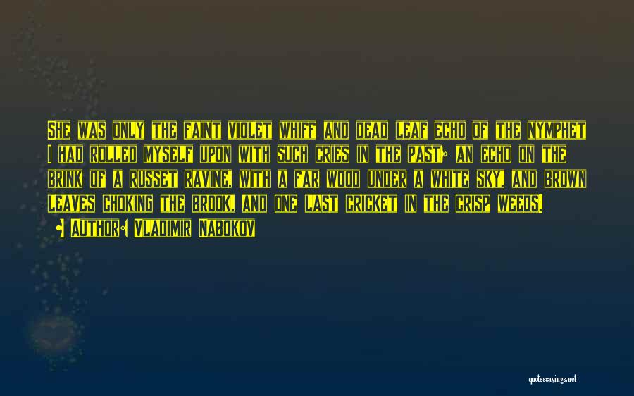 Vladimir Nabokov Quotes: She Was Only The Faint Violet Whiff And Dead Leaf Echo Of The Nymphet I Had Rolled Myself Upon With