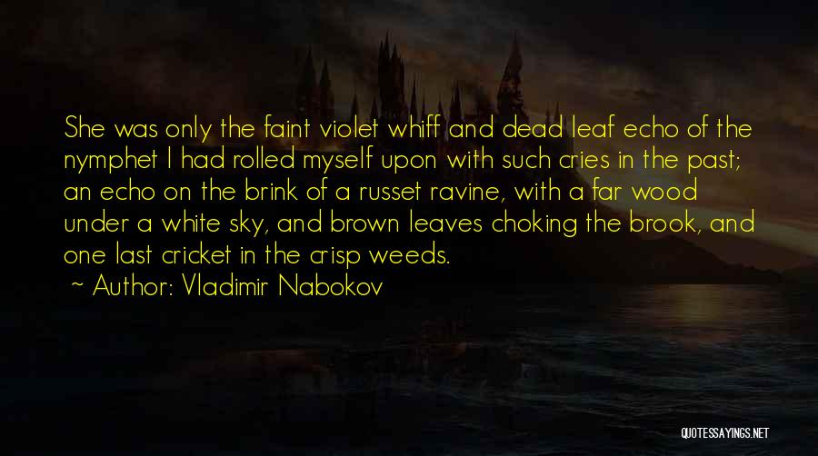 Vladimir Nabokov Quotes: She Was Only The Faint Violet Whiff And Dead Leaf Echo Of The Nymphet I Had Rolled Myself Upon With