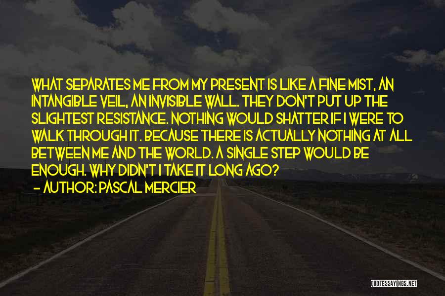 Pascal Mercier Quotes: What Separates Me From My Present Is Like A Fine Mist, An Intangible Veil, An Invisible Wall. They Don't Put