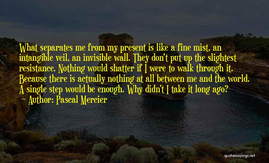Pascal Mercier Quotes: What Separates Me From My Present Is Like A Fine Mist, An Intangible Veil, An Invisible Wall. They Don't Put