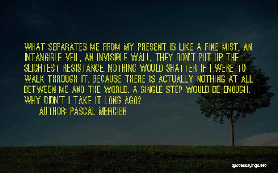 Pascal Mercier Quotes: What Separates Me From My Present Is Like A Fine Mist, An Intangible Veil, An Invisible Wall. They Don't Put