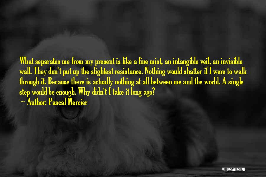 Pascal Mercier Quotes: What Separates Me From My Present Is Like A Fine Mist, An Intangible Veil, An Invisible Wall. They Don't Put