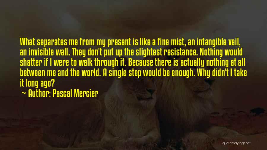 Pascal Mercier Quotes: What Separates Me From My Present Is Like A Fine Mist, An Intangible Veil, An Invisible Wall. They Don't Put