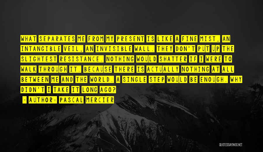 Pascal Mercier Quotes: What Separates Me From My Present Is Like A Fine Mist, An Intangible Veil, An Invisible Wall. They Don't Put