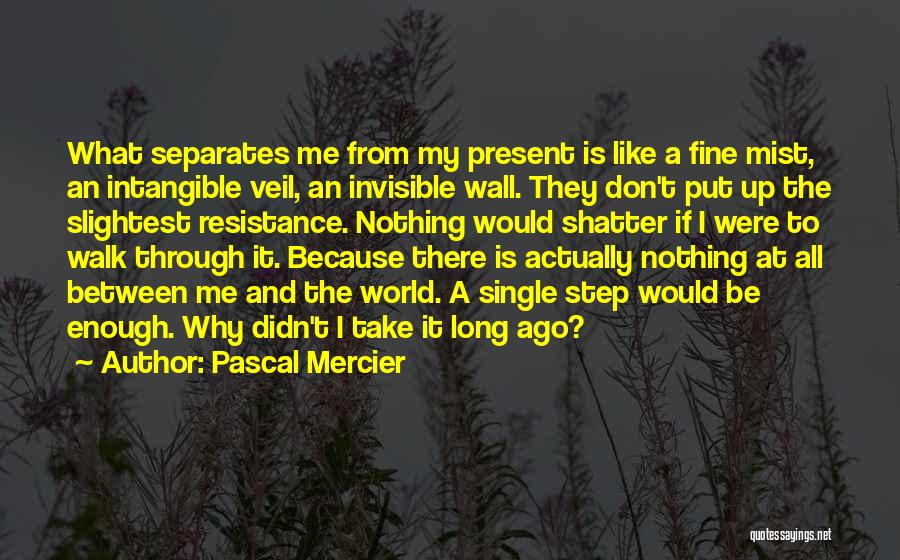 Pascal Mercier Quotes: What Separates Me From My Present Is Like A Fine Mist, An Intangible Veil, An Invisible Wall. They Don't Put