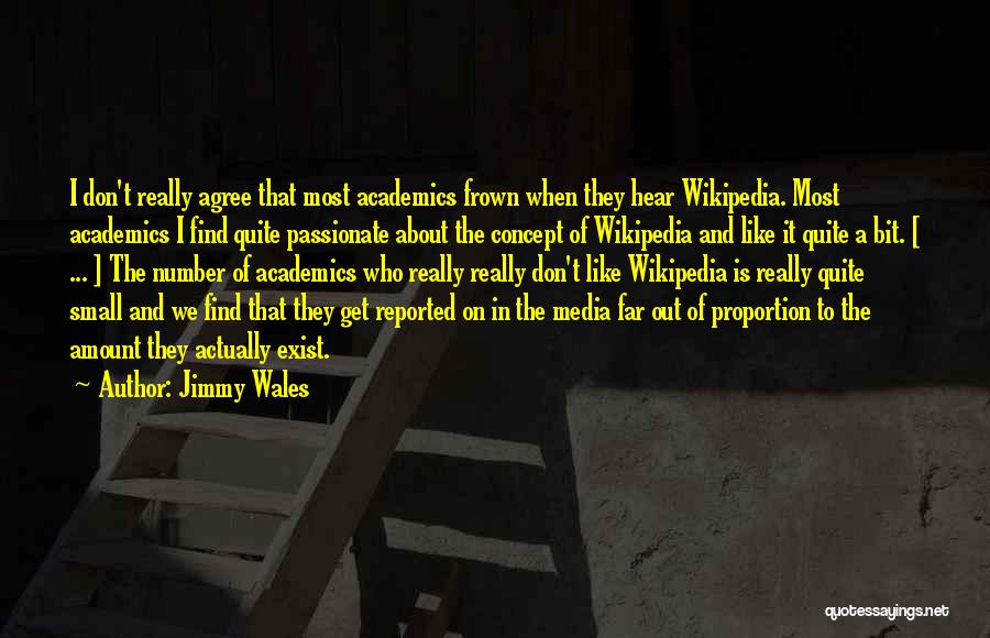 Jimmy Wales Quotes: I Don't Really Agree That Most Academics Frown When They Hear Wikipedia. Most Academics I Find Quite Passionate About The