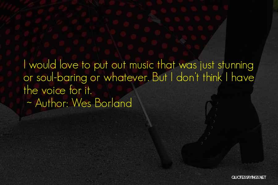 Wes Borland Quotes: I Would Love To Put Out Music That Was Just Stunning Or Soul-baring Or Whatever. But I Don't Think I