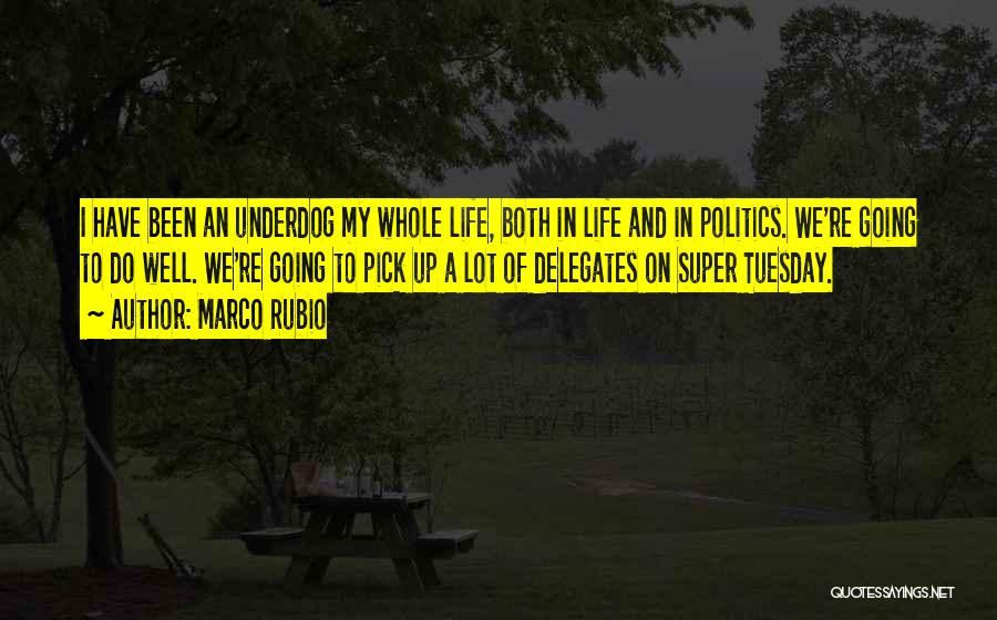 Marco Rubio Quotes: I Have Been An Underdog My Whole Life, Both In Life And In Politics. We're Going To Do Well. We're