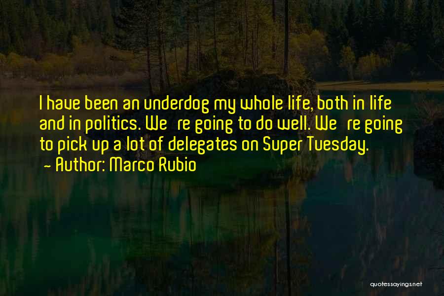 Marco Rubio Quotes: I Have Been An Underdog My Whole Life, Both In Life And In Politics. We're Going To Do Well. We're