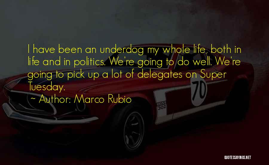 Marco Rubio Quotes: I Have Been An Underdog My Whole Life, Both In Life And In Politics. We're Going To Do Well. We're