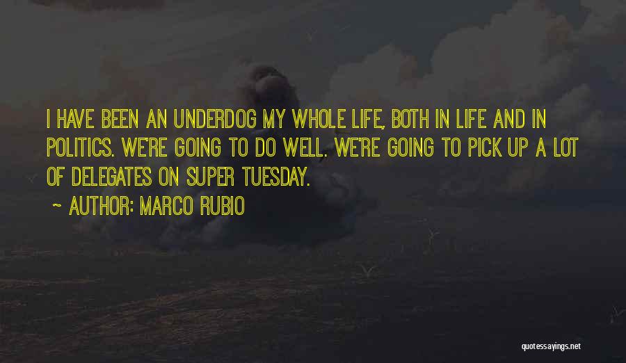 Marco Rubio Quotes: I Have Been An Underdog My Whole Life, Both In Life And In Politics. We're Going To Do Well. We're