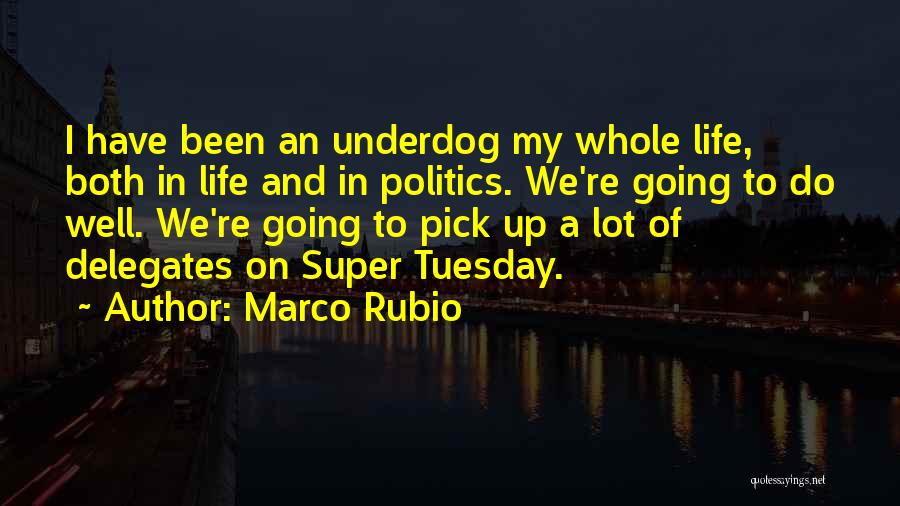 Marco Rubio Quotes: I Have Been An Underdog My Whole Life, Both In Life And In Politics. We're Going To Do Well. We're