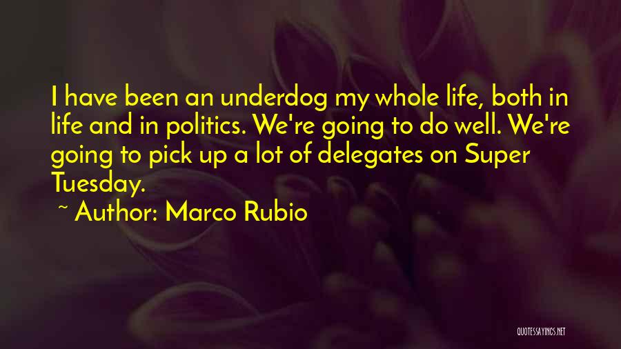 Marco Rubio Quotes: I Have Been An Underdog My Whole Life, Both In Life And In Politics. We're Going To Do Well. We're