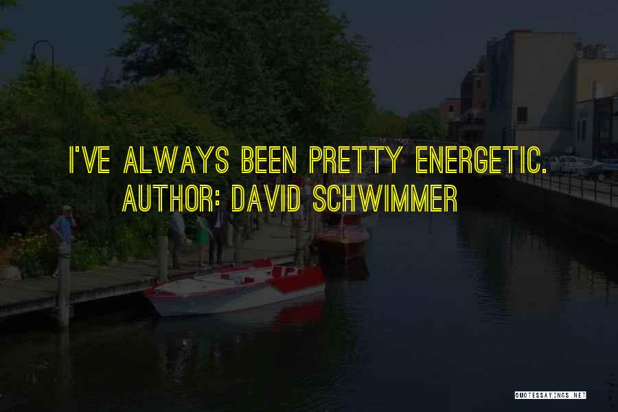 David Schwimmer Quotes: I've Always Been Pretty Energetic.