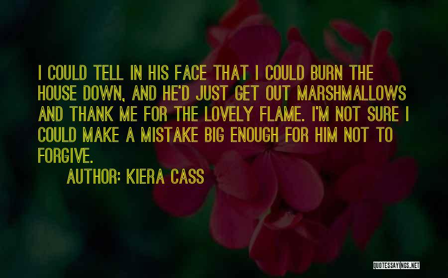 Kiera Cass Quotes: I Could Tell In His Face That I Could Burn The House Down, And He'd Just Get Out Marshmallows And