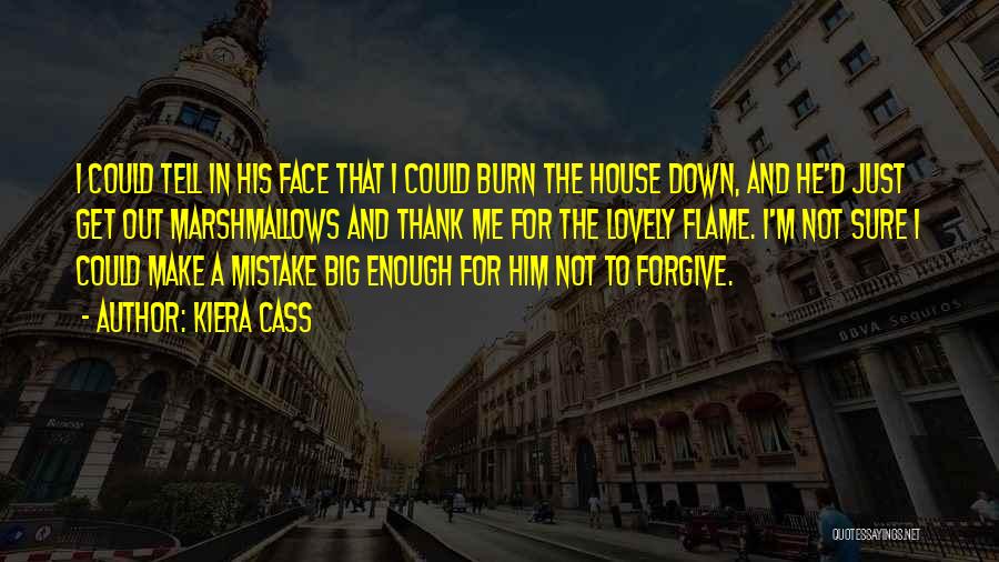 Kiera Cass Quotes: I Could Tell In His Face That I Could Burn The House Down, And He'd Just Get Out Marshmallows And