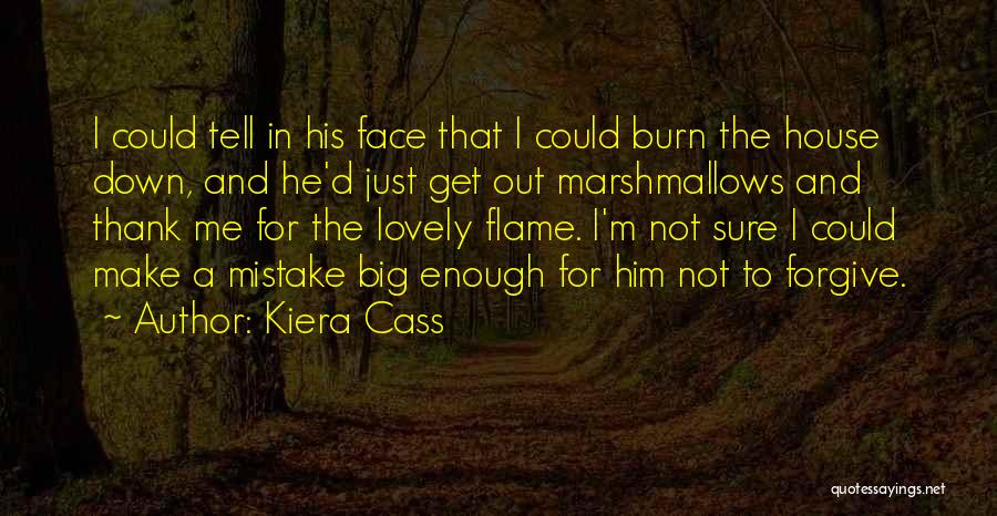 Kiera Cass Quotes: I Could Tell In His Face That I Could Burn The House Down, And He'd Just Get Out Marshmallows And