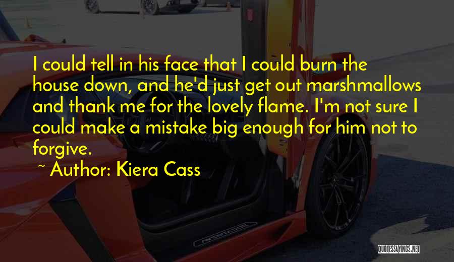 Kiera Cass Quotes: I Could Tell In His Face That I Could Burn The House Down, And He'd Just Get Out Marshmallows And