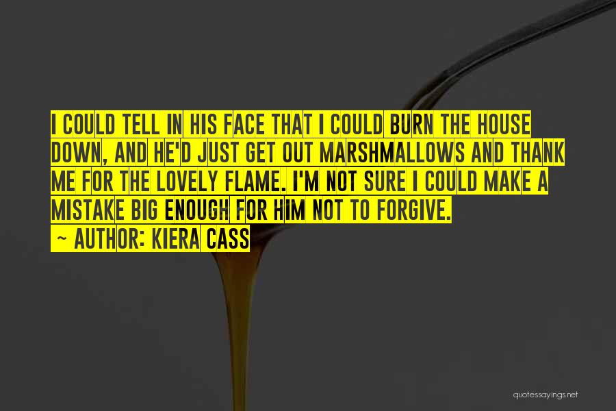 Kiera Cass Quotes: I Could Tell In His Face That I Could Burn The House Down, And He'd Just Get Out Marshmallows And