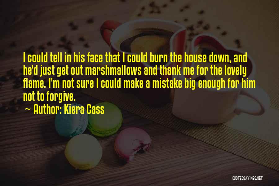 Kiera Cass Quotes: I Could Tell In His Face That I Could Burn The House Down, And He'd Just Get Out Marshmallows And