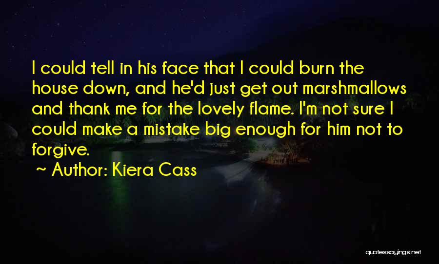 Kiera Cass Quotes: I Could Tell In His Face That I Could Burn The House Down, And He'd Just Get Out Marshmallows And