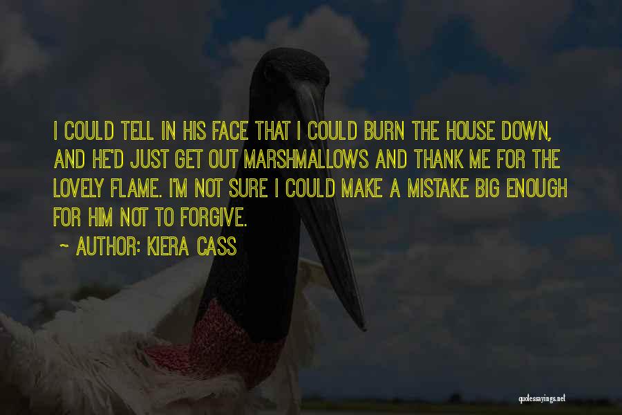 Kiera Cass Quotes: I Could Tell In His Face That I Could Burn The House Down, And He'd Just Get Out Marshmallows And