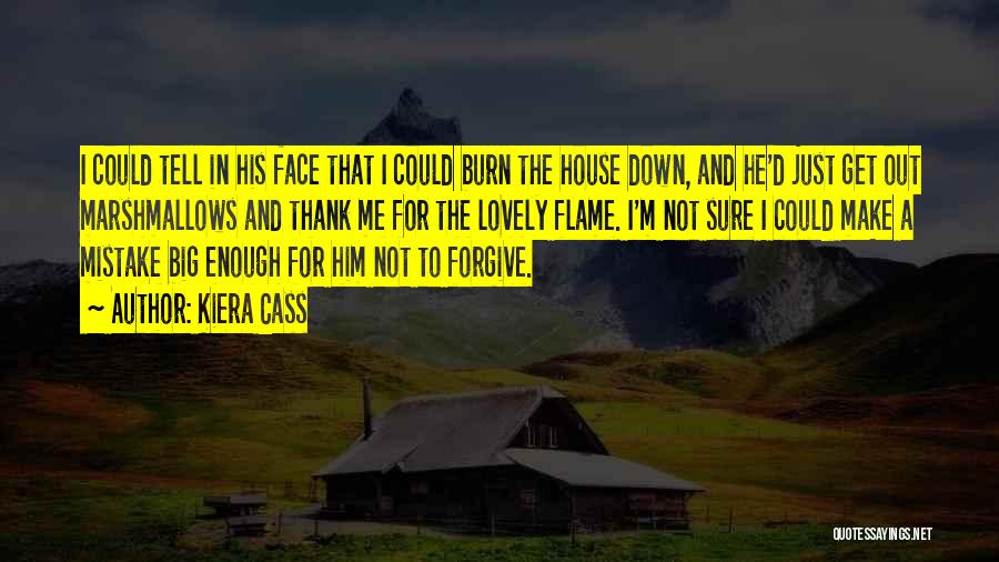 Kiera Cass Quotes: I Could Tell In His Face That I Could Burn The House Down, And He'd Just Get Out Marshmallows And