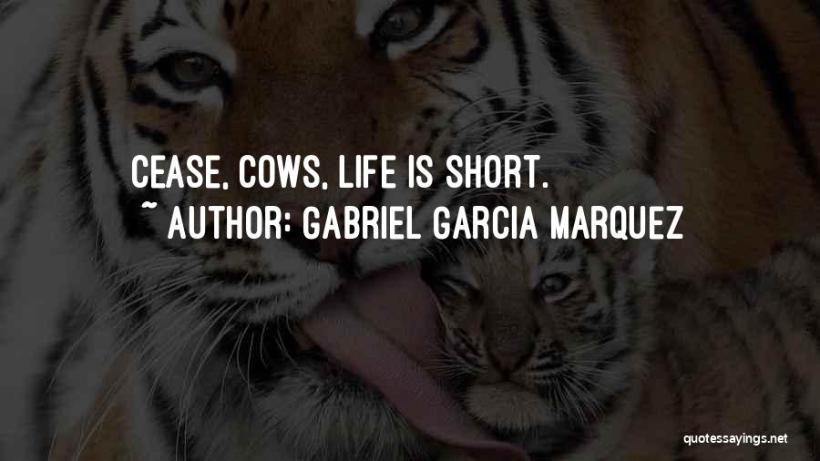 Gabriel Garcia Marquez Quotes: Cease, Cows, Life Is Short.