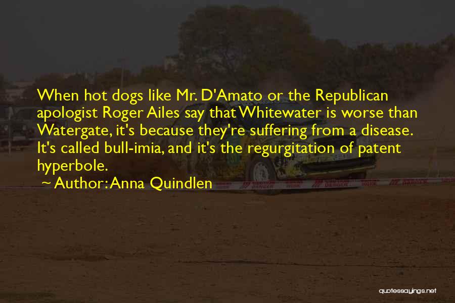 Anna Quindlen Quotes: When Hot Dogs Like Mr. D'amato Or The Republican Apologist Roger Ailes Say That Whitewater Is Worse Than Watergate, It's
