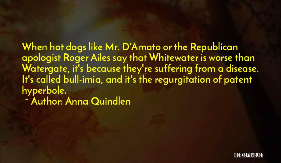 Anna Quindlen Quotes: When Hot Dogs Like Mr. D'amato Or The Republican Apologist Roger Ailes Say That Whitewater Is Worse Than Watergate, It's