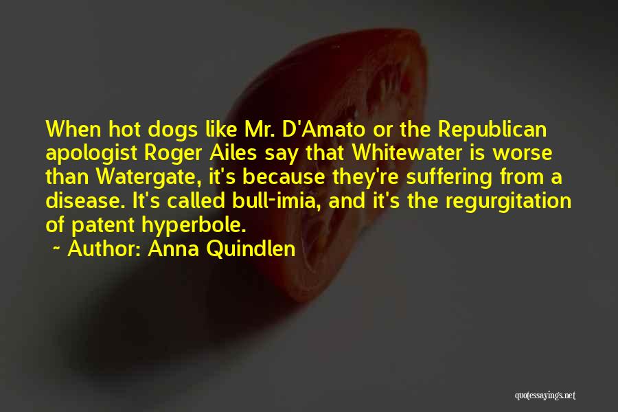 Anna Quindlen Quotes: When Hot Dogs Like Mr. D'amato Or The Republican Apologist Roger Ailes Say That Whitewater Is Worse Than Watergate, It's