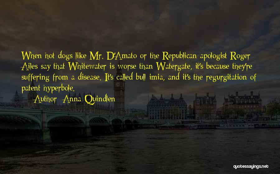 Anna Quindlen Quotes: When Hot Dogs Like Mr. D'amato Or The Republican Apologist Roger Ailes Say That Whitewater Is Worse Than Watergate, It's